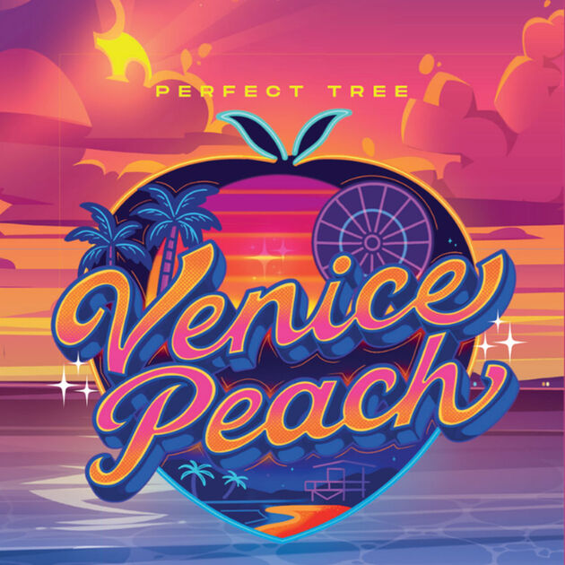Cannabissamen Venice Peach feminisiert für Indoor und Outdoor
